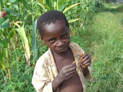 World Malaria Day